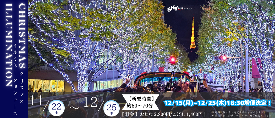 クリスマスイルミネーションコース