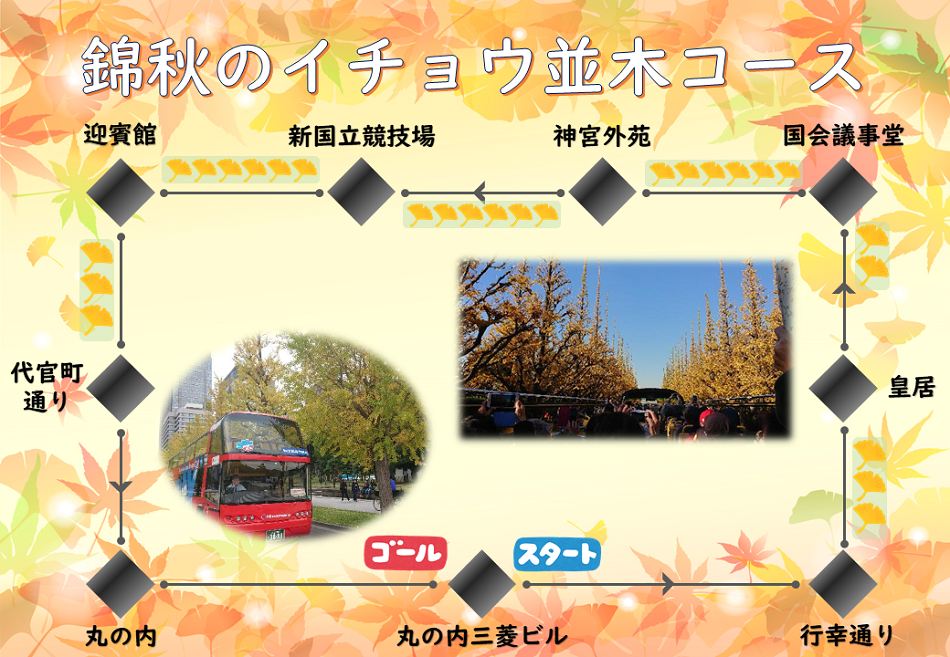 【T115、期間限定】錦秋のイチョウ並木コース（11/10～12/4予定）