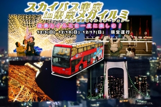 【S130、期間限定】スカイバス東京in東京メガイルミ