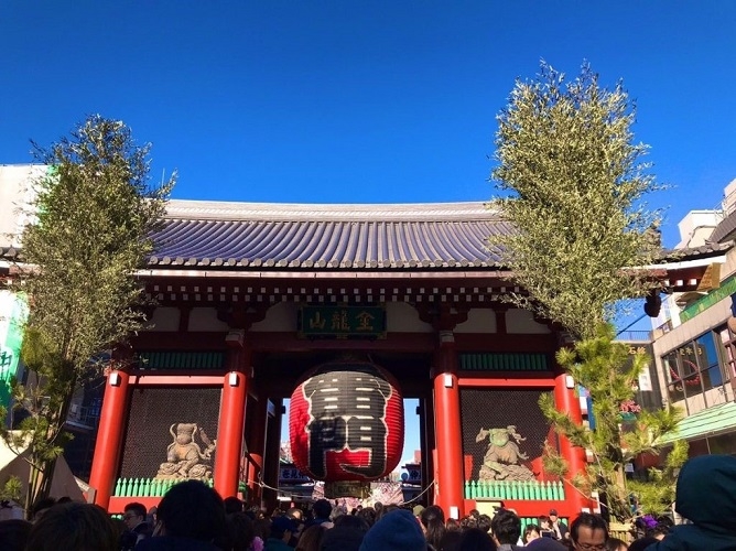浅草・秋葉原・日本橋コース