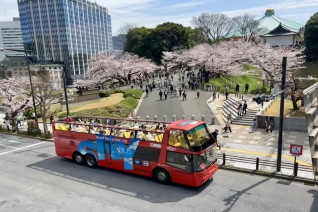 【T7】お江戸東京コース（休日限定）