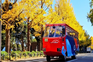 【D805】水陸両用バス スカイダック横浜【11/20-12/5平日10:30限定】 みなといちょうコース