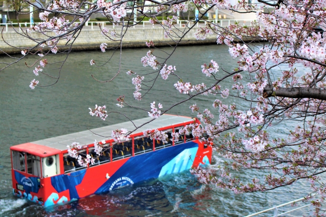 【D802】３月２８日（土）スカイダック横浜　ちょいのりダックコース