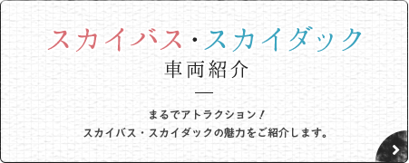 スカイバス・スカイダック車両紹介 - まるでアトラクション！スカイバス・スカイダックの魅力をご紹介します。