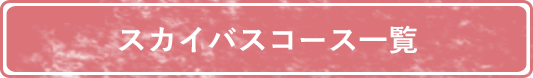 スカイバスコース一覧