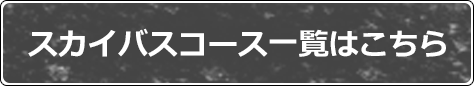 スカイバスコース一覧はこちら