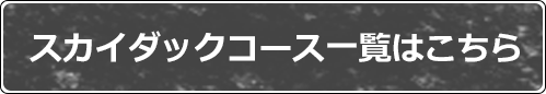 スカイダックコース一覧はこちら