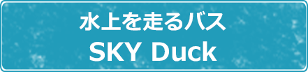 水上を走る SKYDuck