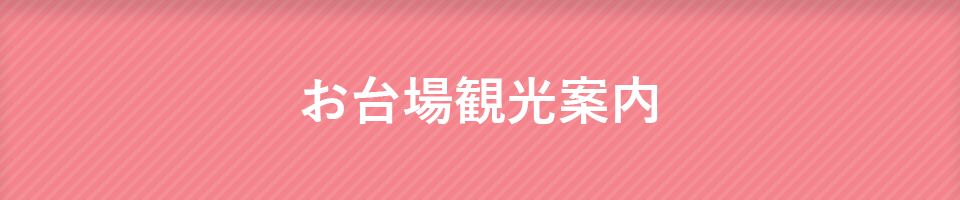 お台場観光案内