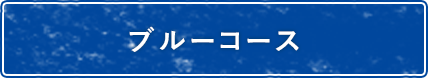 ブルーコース