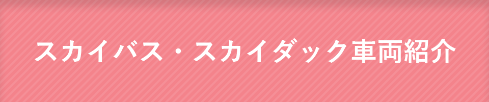 スカイバス・スカイダック車両紹介