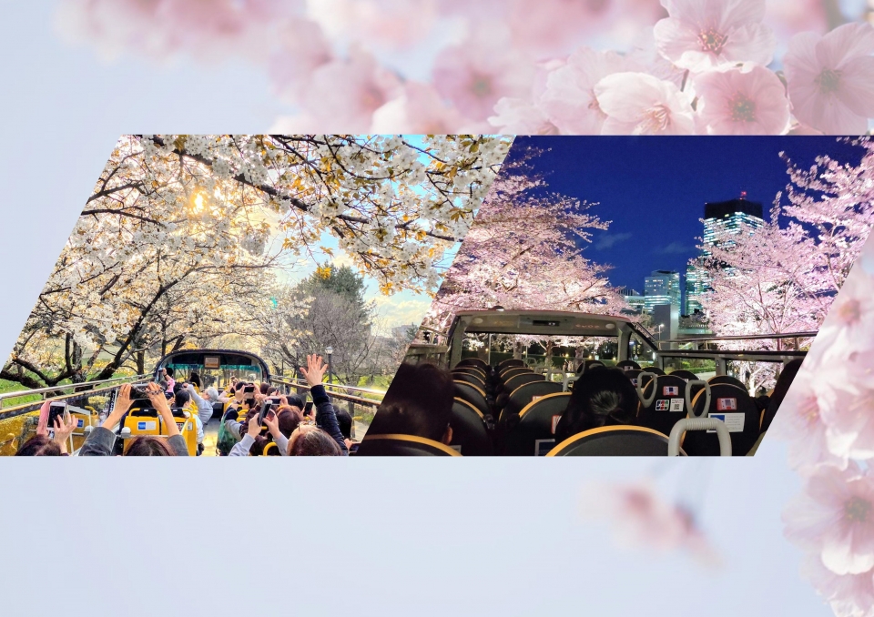 【2022年度終了】スカイバス東京「桜WEEK」のお知らせ
