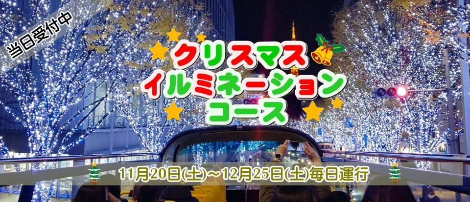 【季節限定】クリスマスイルミネーションコース予約開始