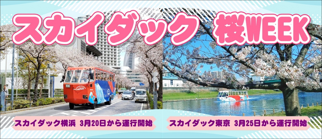 桜ダック