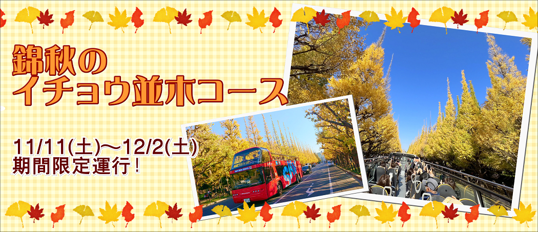 2023イチョウ