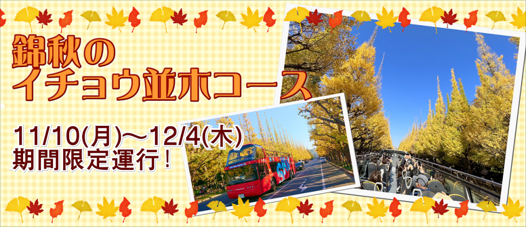 2025イチョウ仮置き