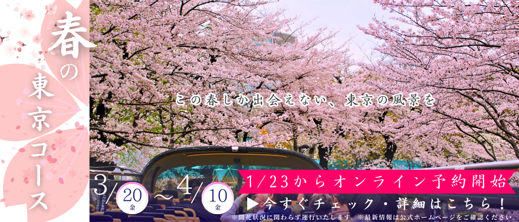 春の東京コース