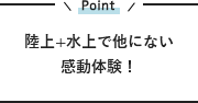 屋根なしで爽快！気軽に巡る観光案内バス